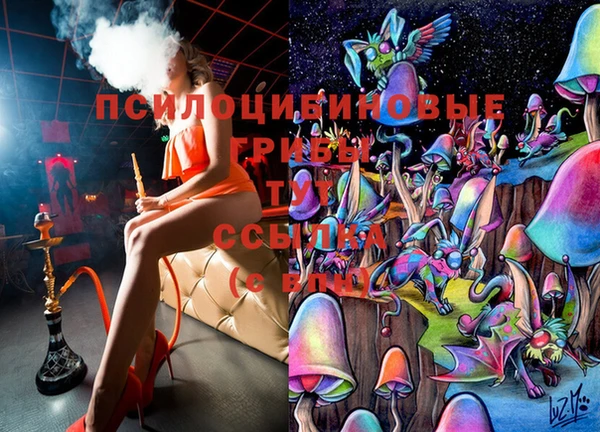 ECSTASY Абинск